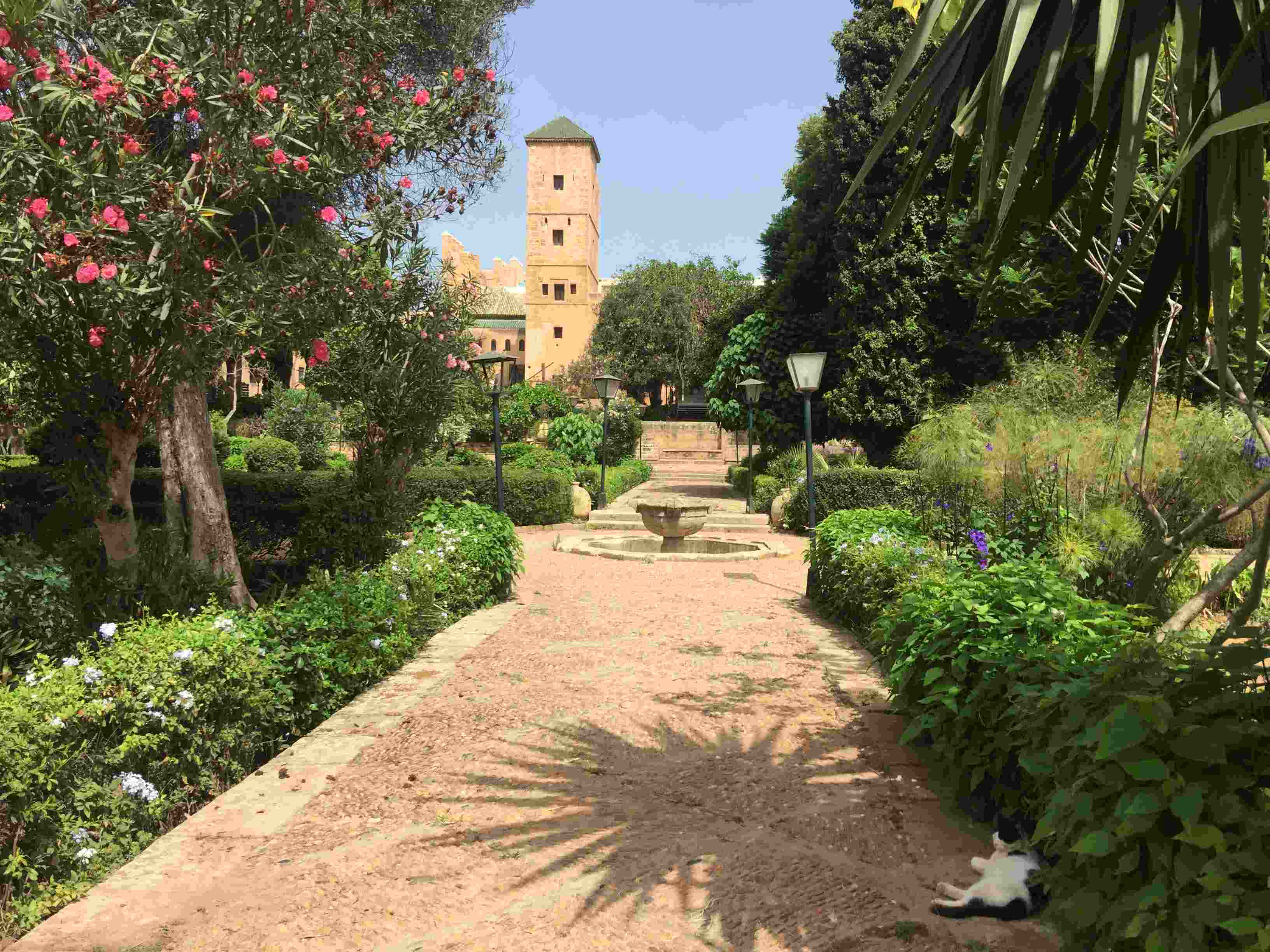 Andalusian Garden